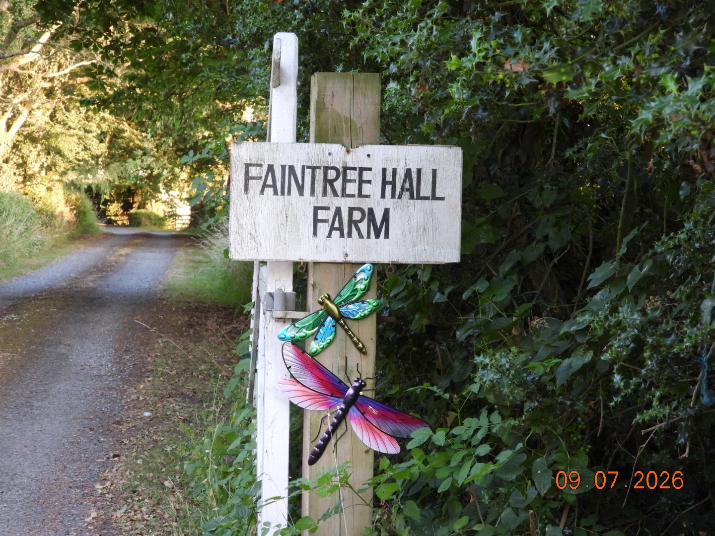 Faintree Hall Farm