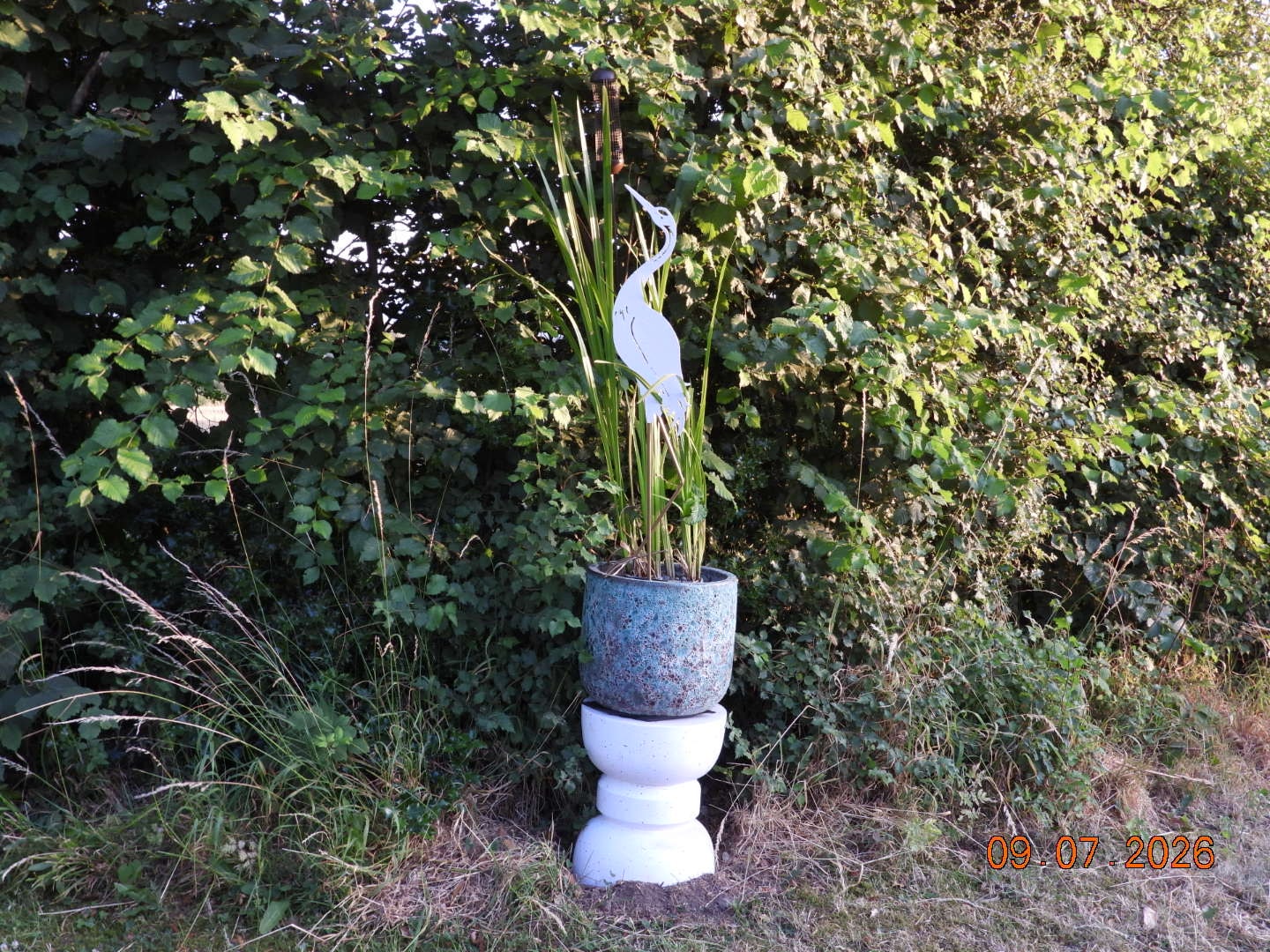 Garden at Faintree Hall Farm